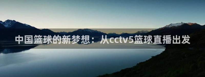 绿茵体育足球免费直播：中国篮球的新梦想：从cctv5篮球直播出发