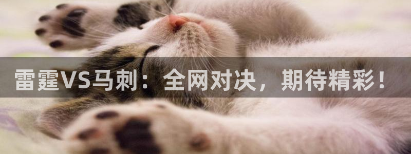 绿茵体育直播官网下载：雷霆VS马刺：全网对决，期待精彩！