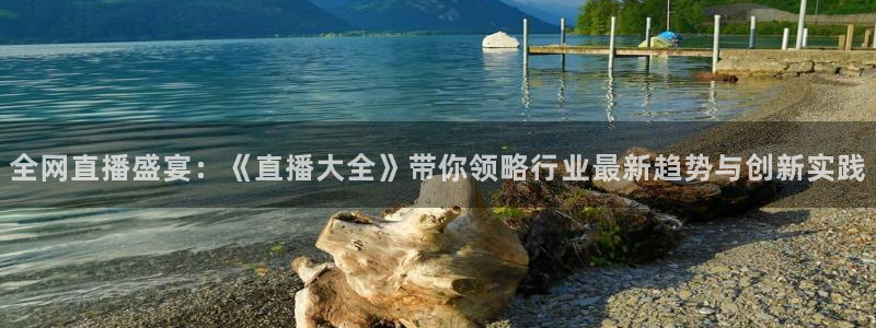 绿茵篮球直播：全网直播盛宴：《直播大全》带你领略行业最新趋势与创新实践