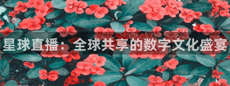 绿茵足球吧：星球直播：全球共享的数字文化盛宴